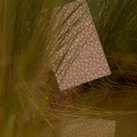 Patterned paper on grass with a warm color tone