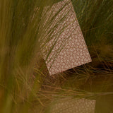Patterned paper on grass with a warm color tone