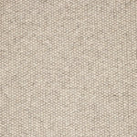 Broadloom carpet swatch in textural neutral color