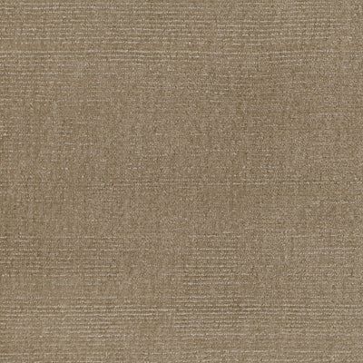 Broadloom carpet solid cut pile in taupe. 