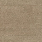 Broadloom carpet solid cut pile in taupe. 