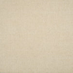 Broadloom carpet in solid ivory.