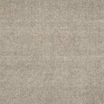 Broadloom carpet in solid greige.