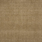 Broadloom carpet in solid tan.