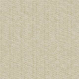 Broadloom carpet in a textural weave in cream and moss green.