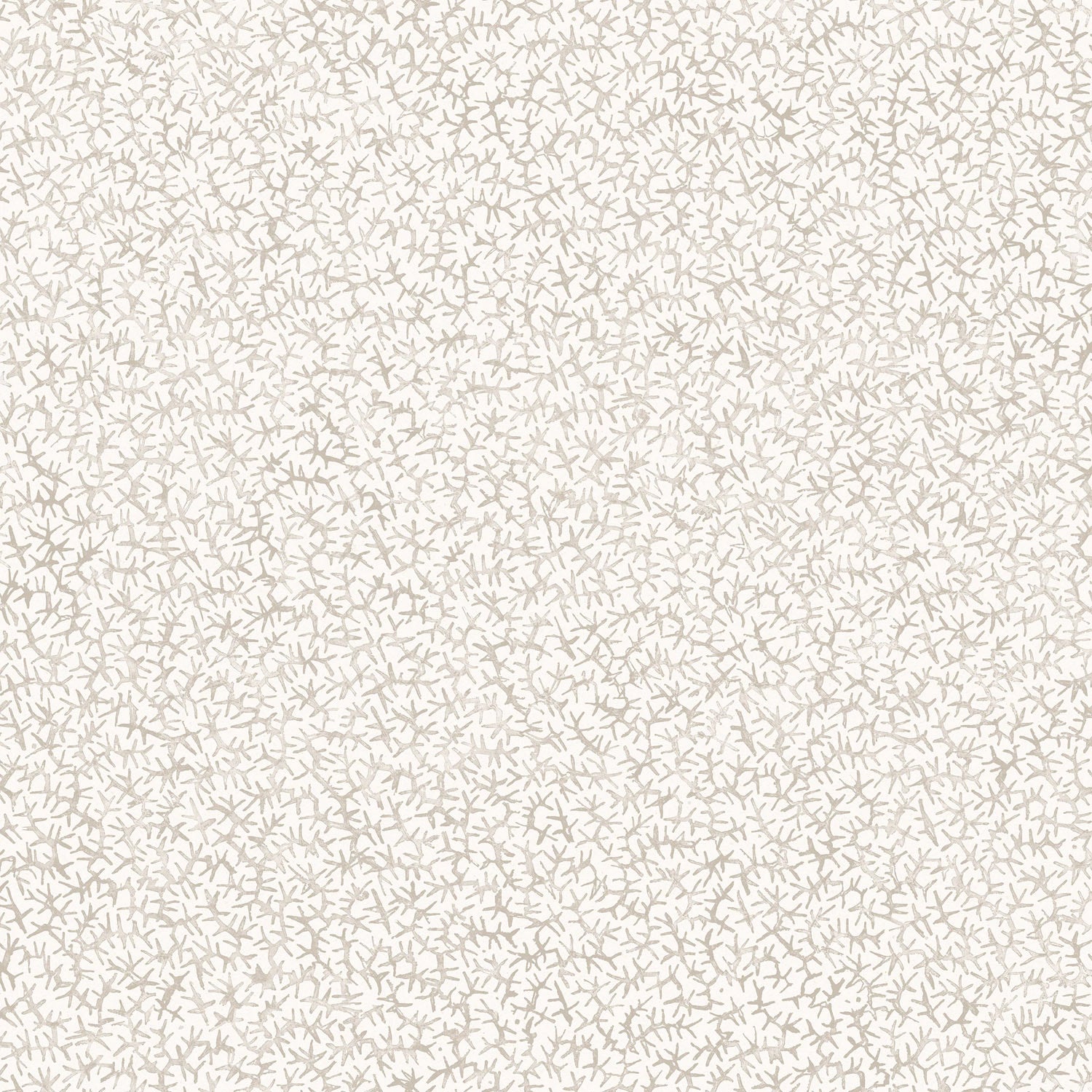 Wallpaper with small scale coral design in soft grey on white. 