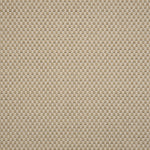 Textural performance broadloom carpet in grid design in cream.