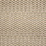 Textural performance broadloom carpet in grid design in cream.