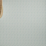 Overhead image of a wooden table and plant on a broadloom carpet in a textural herringbone pattern in cream and pastel blue. 