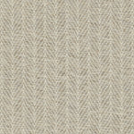 Broadloom carpet in a textural herringbone pattern in cream and taupe.
