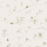 Detail of wallpaper in a painterly pine cone and branch print in green on a cream field.