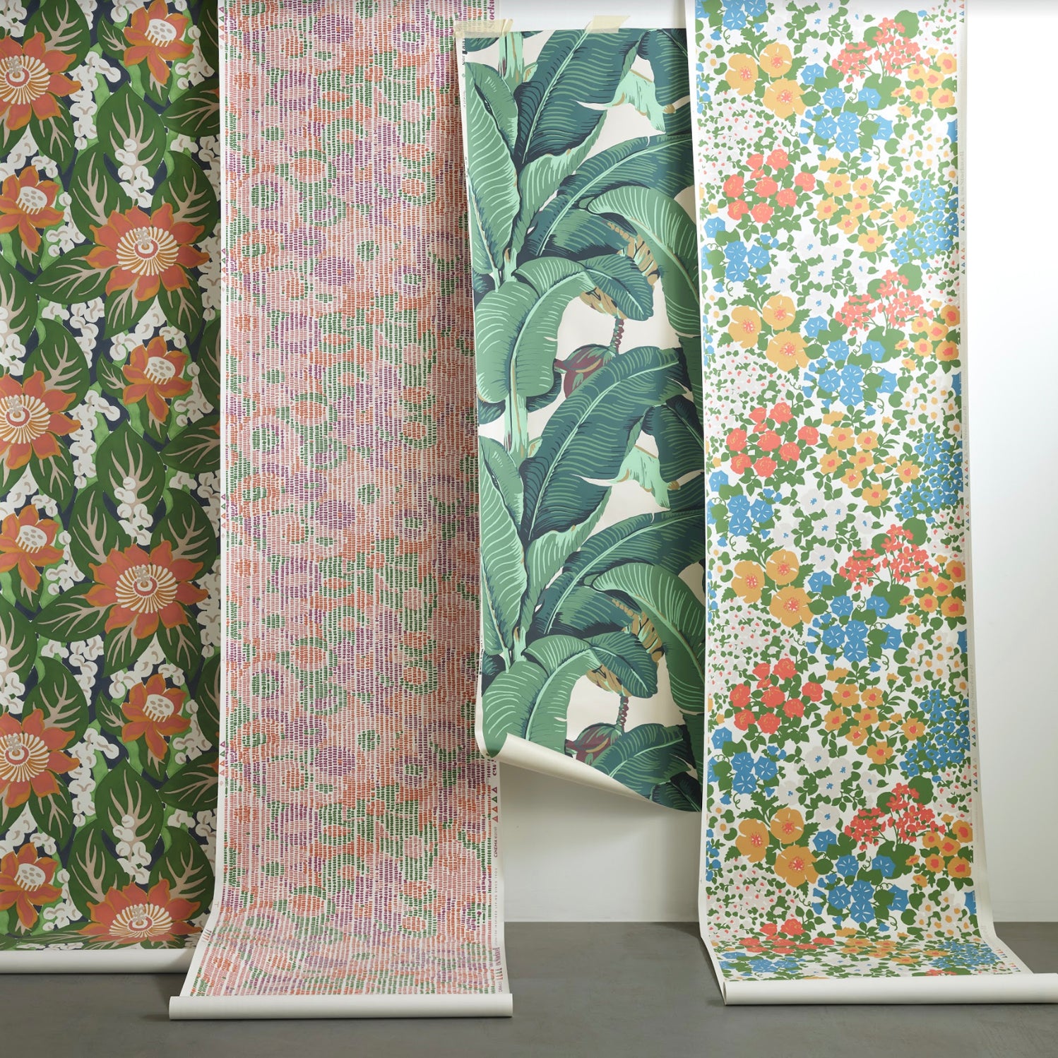 Four rolls of wallpaper displayed side by side against a plain light wall, each showing a different pattern: green floral, pink botanical, green tropical leaves, and multicolor floral with orange, blue, pink, and yellow flowers.