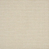 Broadloom carpet swatch in textured pattern neutral color