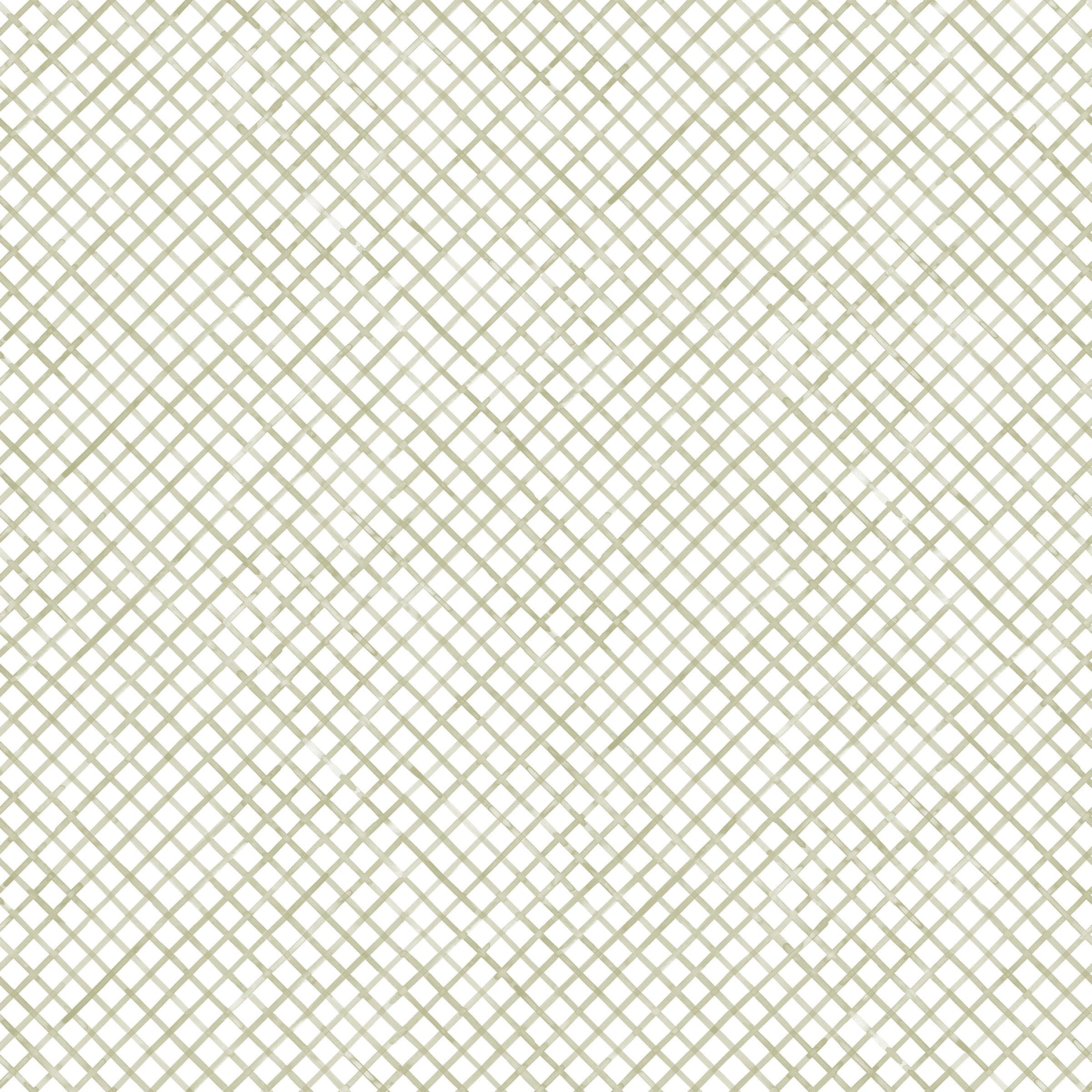 Detail of fabric in a painterly grid pattern in light green on a white field.