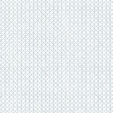 Detail of fabric in an intricate striped grid pattern in light blue on a white field.