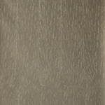 Detail of wallpaper in an abstract textural print in gray on a tan field.
