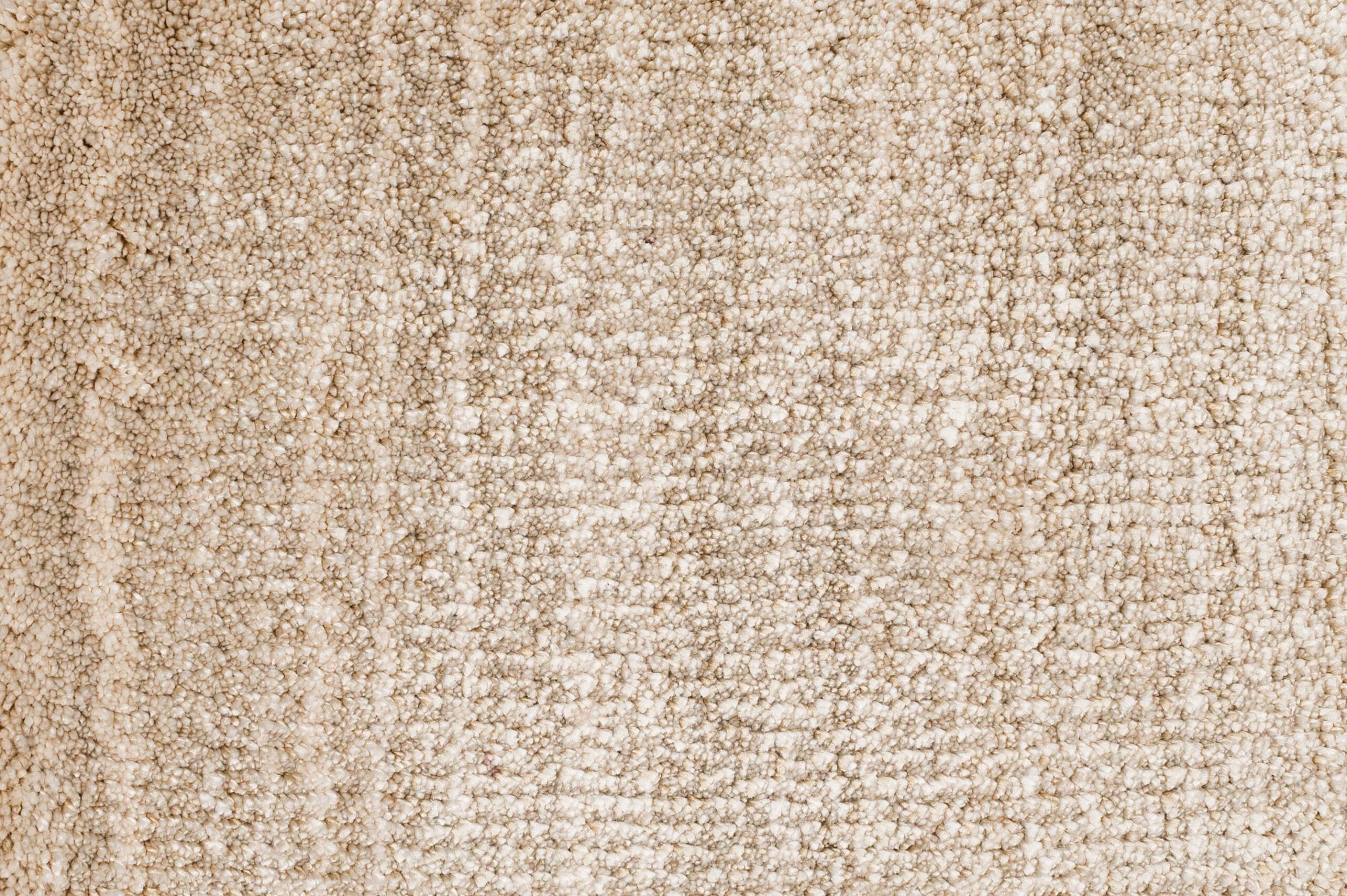 Broadloom carpet in cut pile in striated beige. 