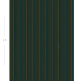 Diagram showing scale of vertical striped wallpaper