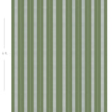 Diagram showing scale of vertical striped wallpaper