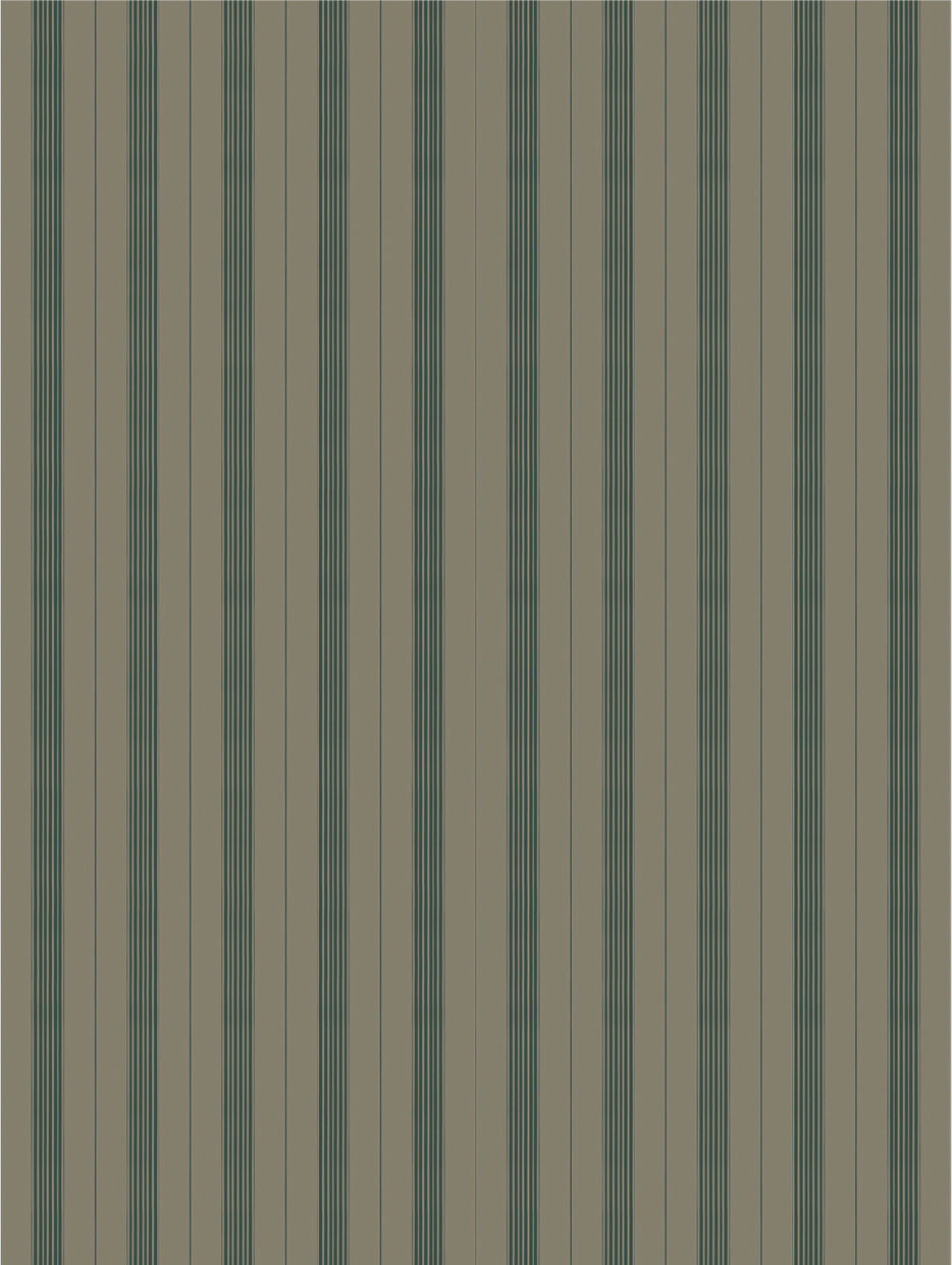 Mixed width striped wallpaper in tan and green
