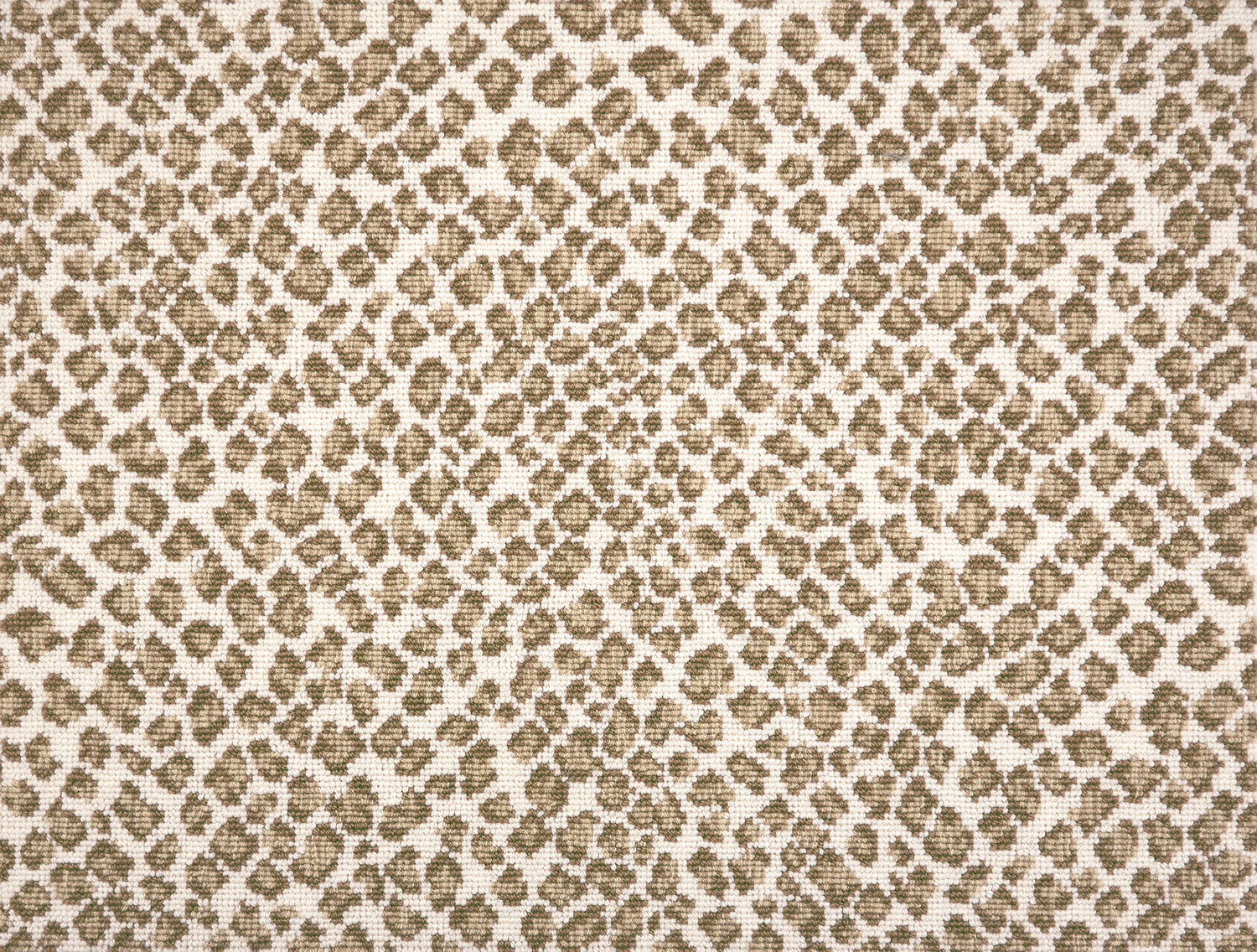 A close-up of a leopard print broadloom in beige and tan spots on a cream background.