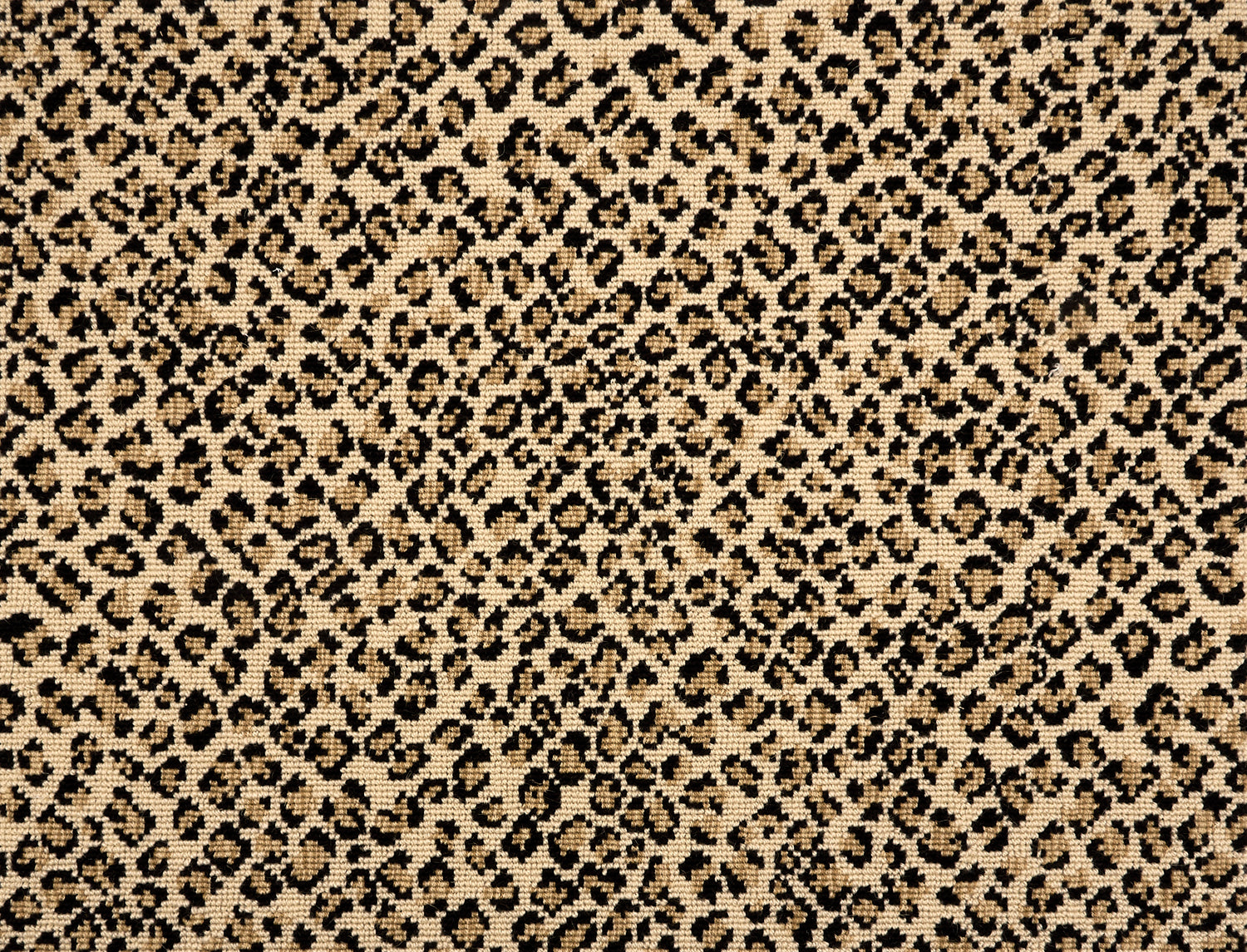 A close-up of a leopard print broadloom in tan and black spots on a beige background.