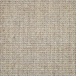 Broadloom carpet in textural woven sisal in oatmeal beige.