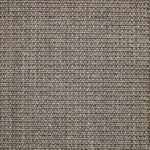 Broadloom carpet in textural woven sisal in cool taupe.