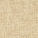 Detail of a paperweave grasscloth wallpaper in mottled tan.
