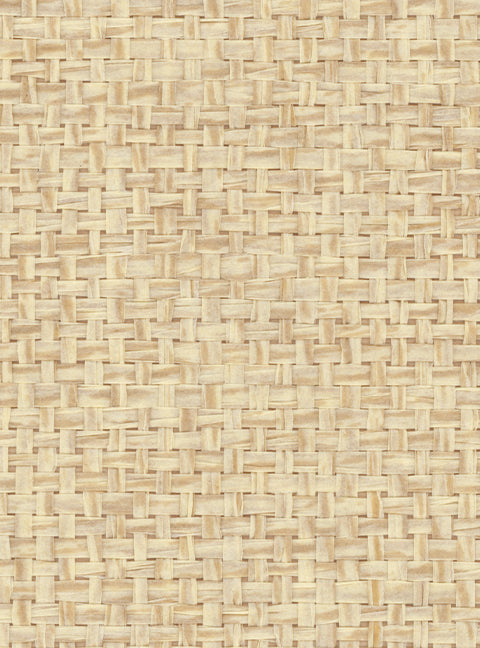 Detail of a paperweave grasscloth wallpaper in mottled tan.