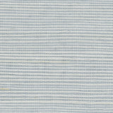 Detail of a sisal grasscloth wallpaper in light gray on a blue-gray paper backing.