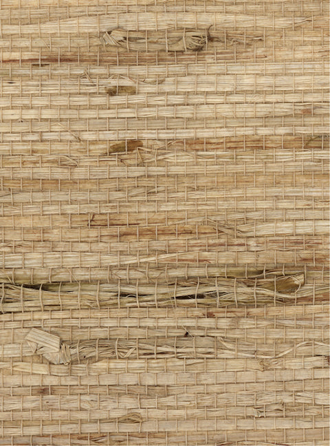 Detail of an arrowroot grasscloth wallpaper panel with a textured weave in shades of tan.