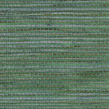 Detail of a sisal grasscloth wallpaper in mottled green on a paper backing.