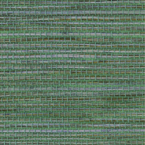 Detail of a sisal grasscloth wallpaper in mottled green on a paper backing.
