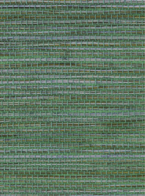 Detail of a sisal grasscloth wallpaper in mottled green on a paper backing.