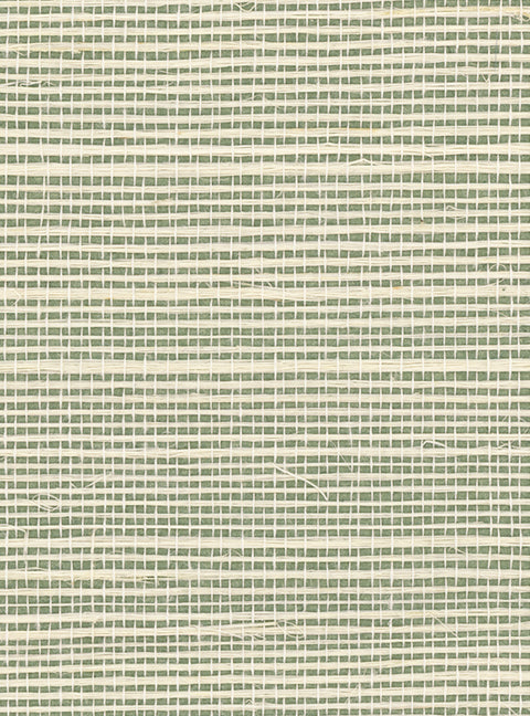 Detail of a sisal grasscloth wallpaper in cream on a green paper backing.