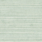 Detail of a sisal grasscloth wallpaper in cream on a pastel blue paper backing.