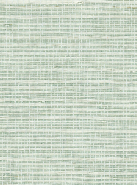 Detail of a sisal grasscloth wallpaper in cream on a pastel blue paper backing.
