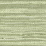 Detail of a sisal grasscloth wallpaper in pastel green on a green paper backing.
