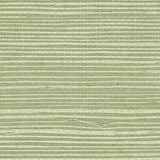Detail of a sisal grasscloth wallpaper in pastel green on a green paper backing.