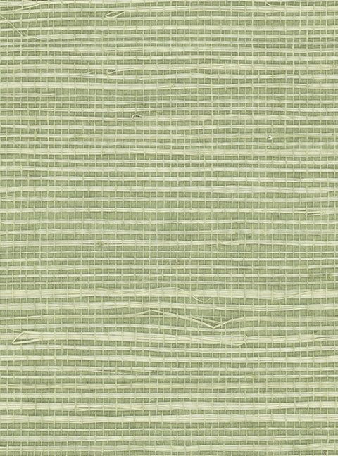 Detail of a sisal grasscloth wallpaper in pastel green on a green paper backing.