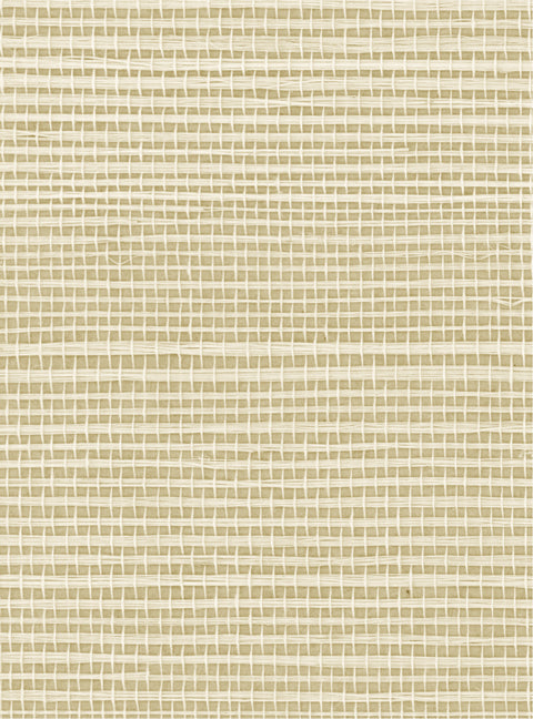 Detail of a sisal grasscloth wallpaper in cream on a tan paper backing.