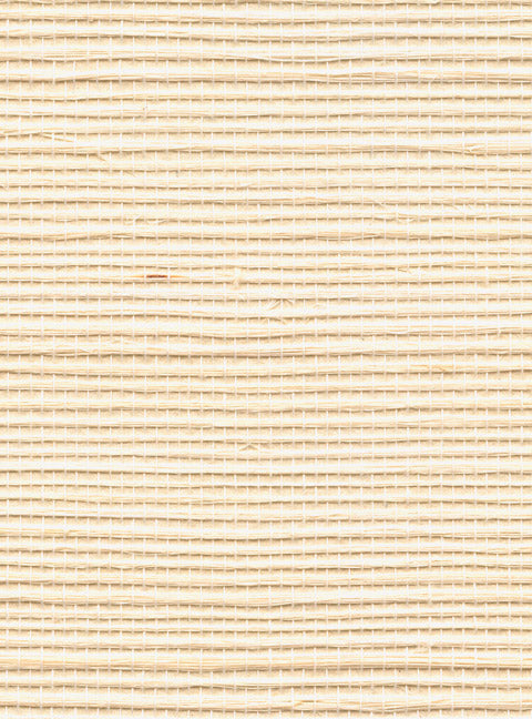 Detail of a sisal grasscloth wallpaper in cream on a paper backing.