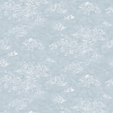 Painterly cloud pattern in white on a pastel blue watercolor field.
