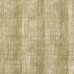 Broadloom carpet with textural weave in cream and green.