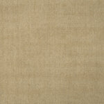 Solid broadloom carpet in ecru.