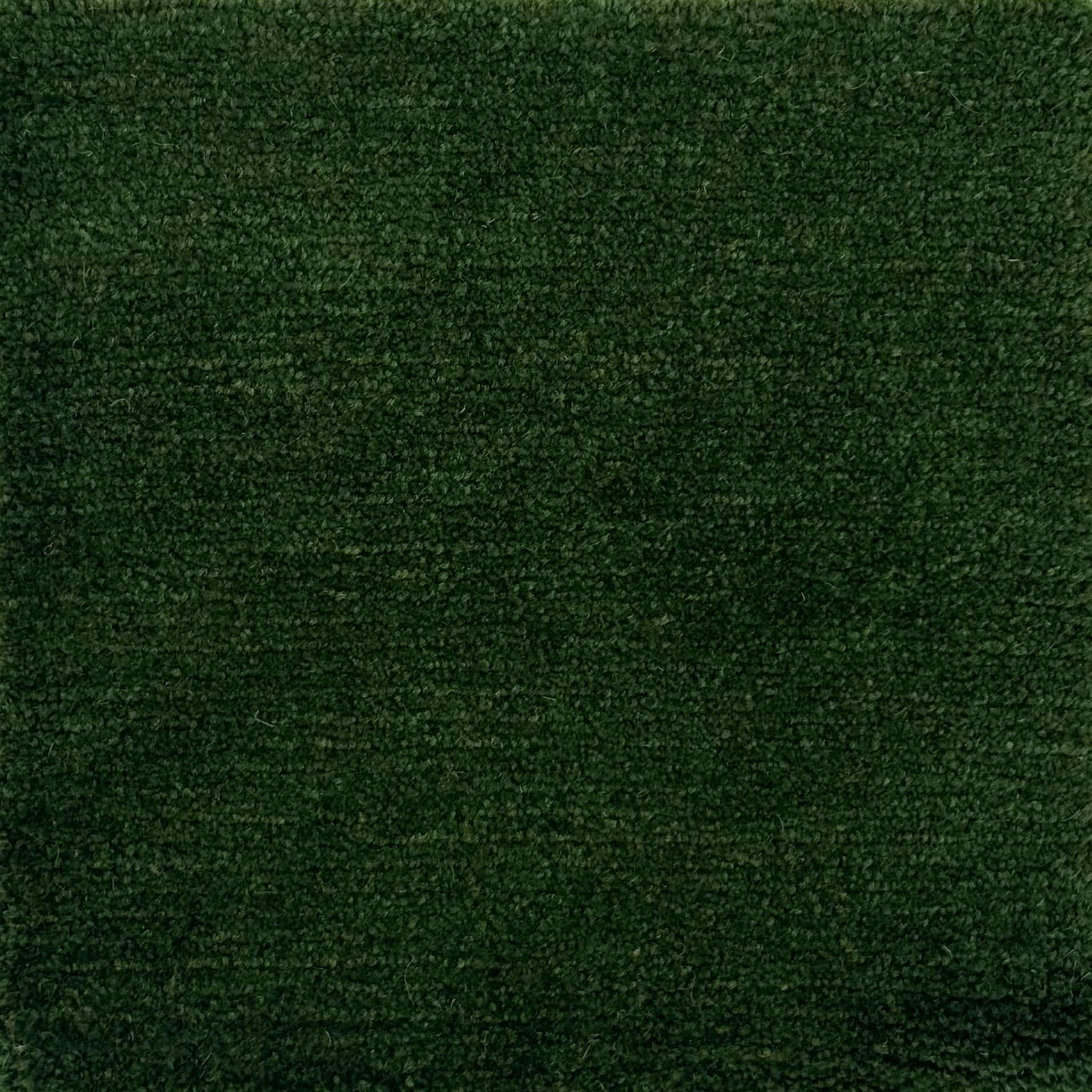 Handknotted rug in wool and merino in solid cut pile in emerald green.