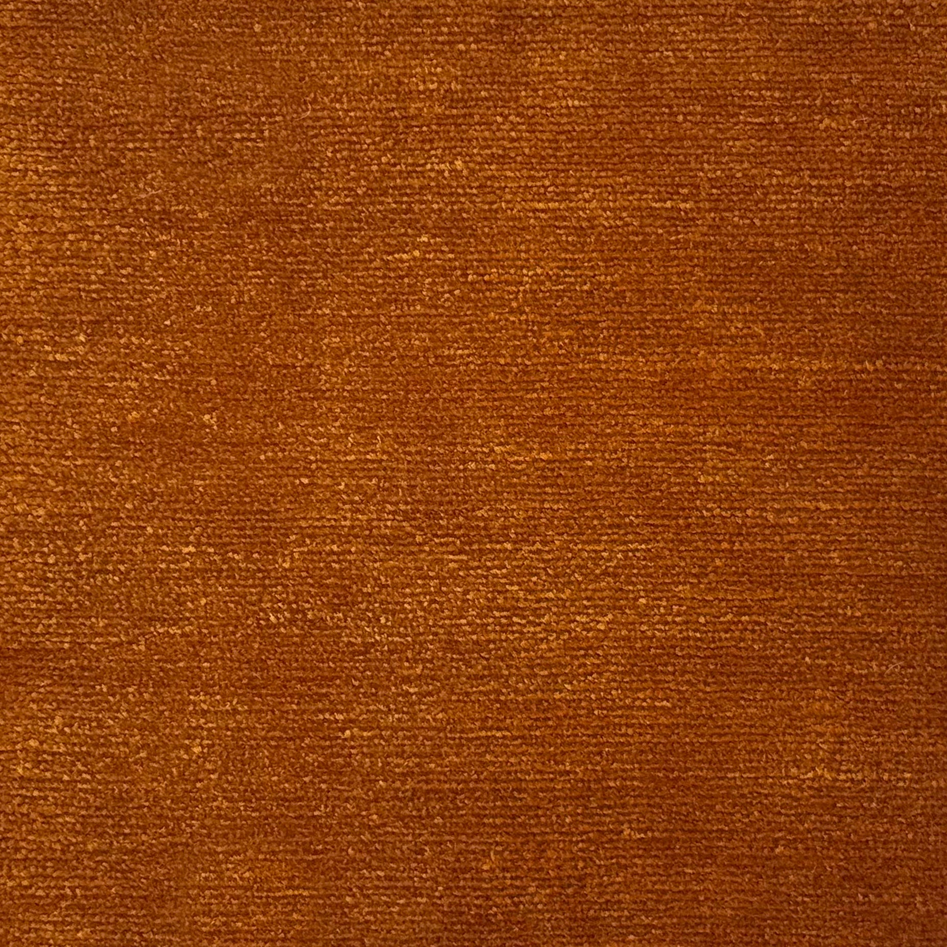 Handknotted rug in wool and merino in solid cut pile in orange.