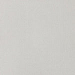 Solid cut pile broadloom carpet in white.