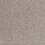 Solid cut pile broadloom carpet in taupe. 